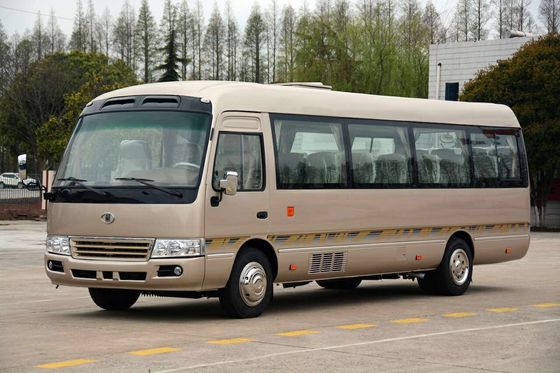 China Consumo de combustible bajo ambiental del mini autobús del microbús/del pasajero del práctico de costa proveedor